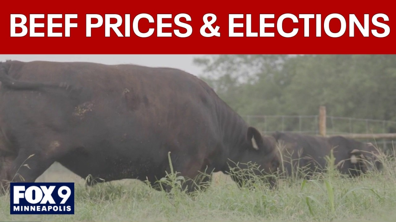 Are beef prices impacting November midterm elections?