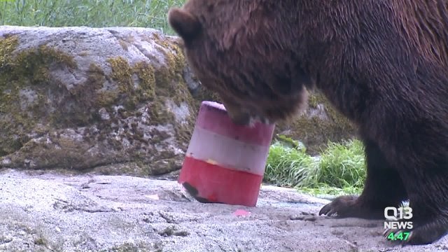 July 4th Zoo treats