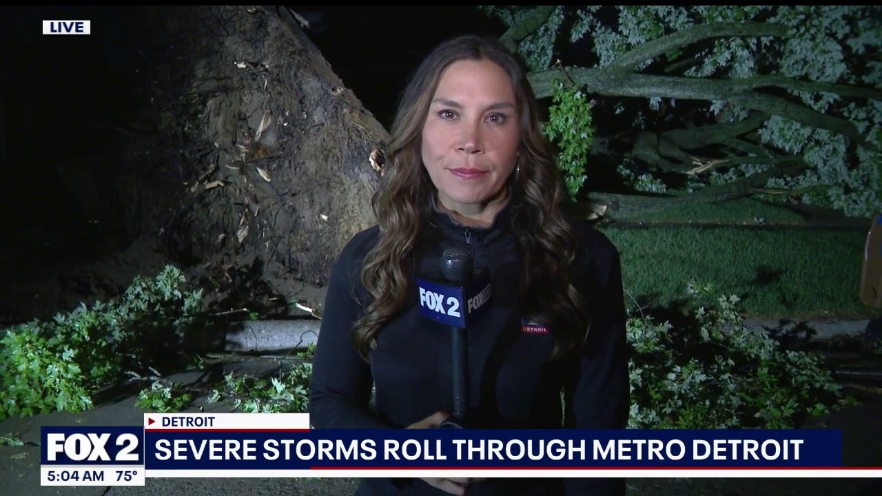 Storm damage from Wednesday night leave trees down, power out