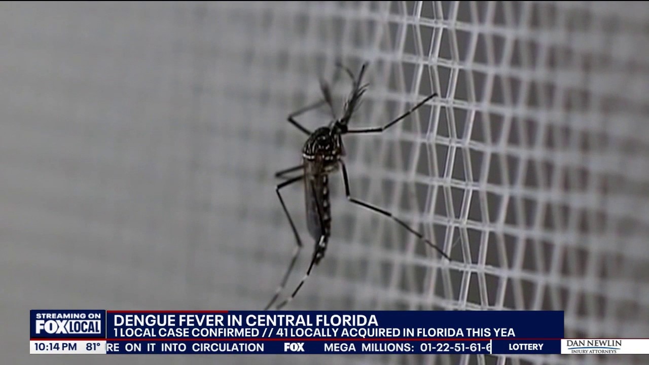Orange County reports locally acquired dengue case