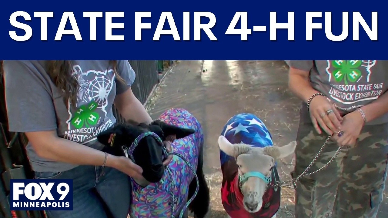 Thousands of animals flock to MN State Fair