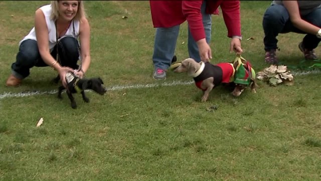 Carl talks animals and activities as he previews German Fest