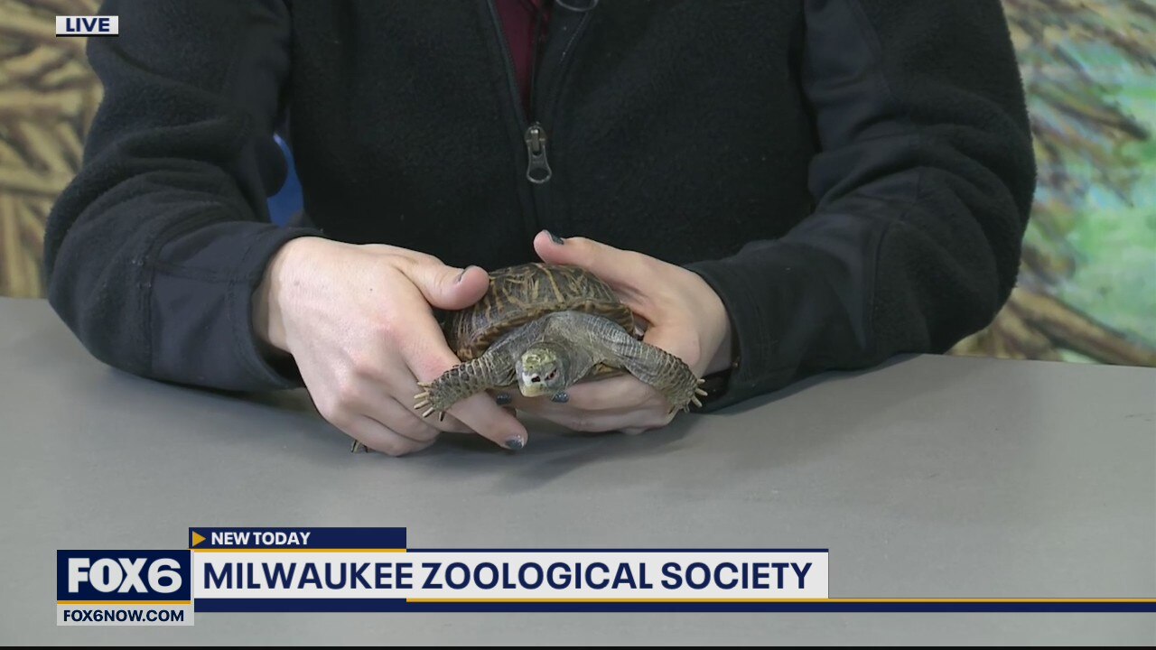 The Zoological Society of Mikwaukee partners with Kohl’s Wild Theater to bring a best-in-class program to kids