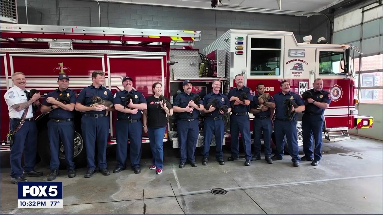 Cobb County fire crew helps deliver 15 puppies
