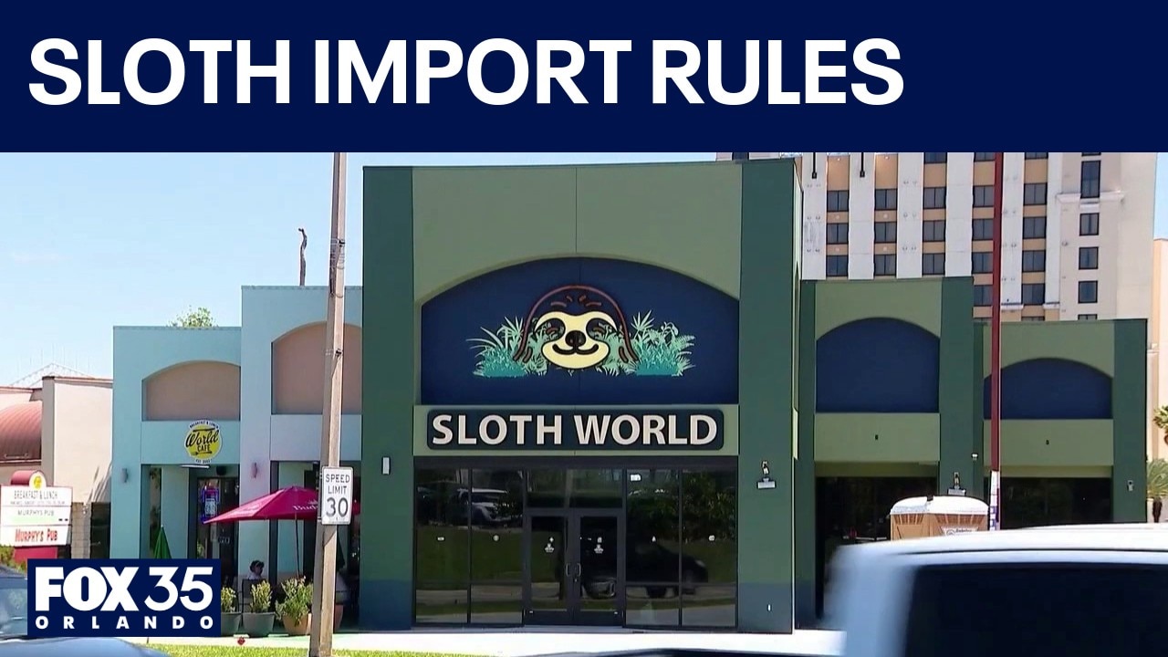 Florida tightens sloth import rules after deaths linked to attraction