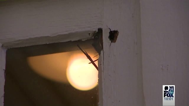 Family`s home riddled with bullets