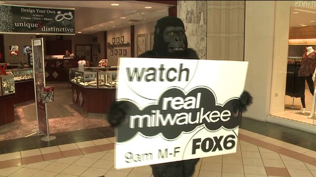 Chip took his "gorilla" marketing campaign to Mayfair Mall