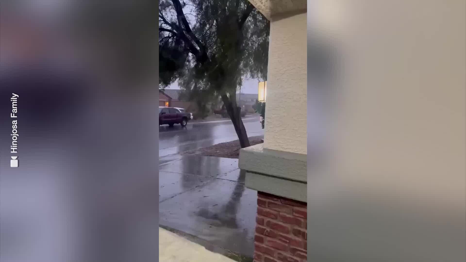 Tree falls over during storm west of Phoenix