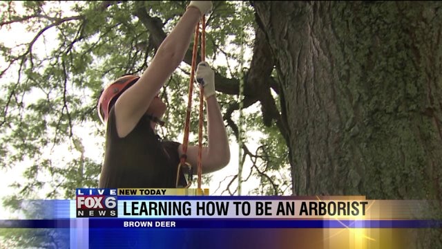 Laura gives it a go -- climbing into a tree