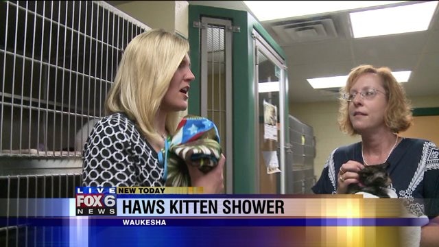 Have you ever heard of a "kitten shower?"