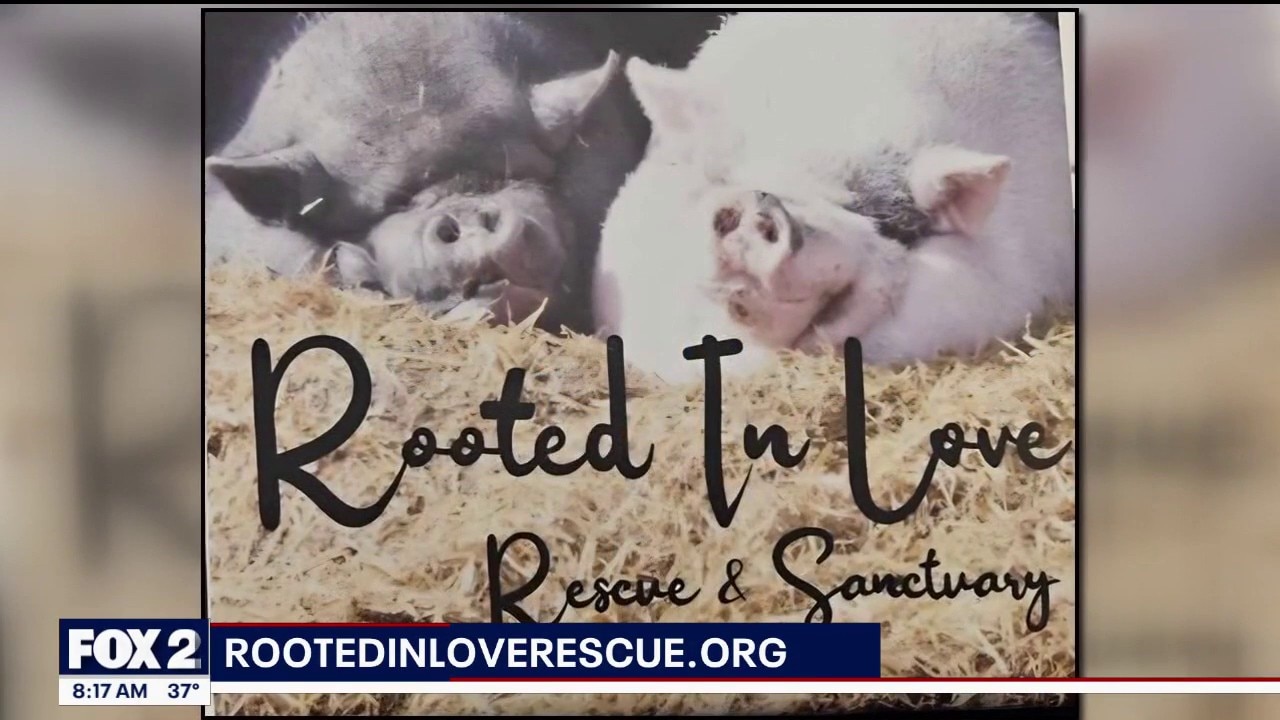 Rooted in Love Rescue & Sanctuary