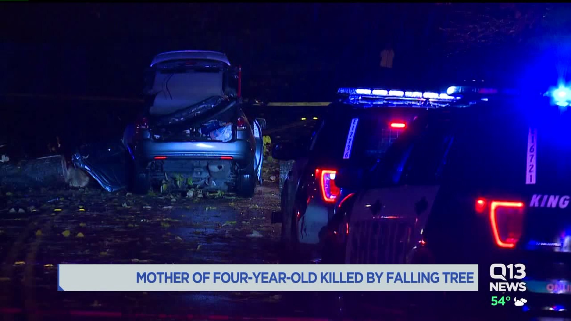 Renton tree falls on car | FOX 13 Seattle