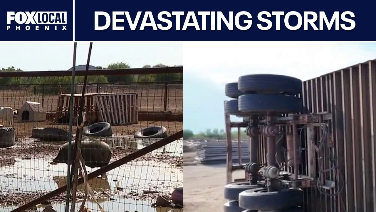 Maricopa storms damage animal sanctuary, food pantry