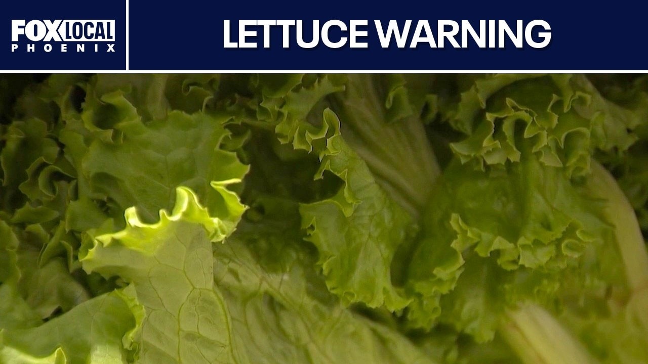 Shredded iceberg lettuce linked to cyclosporiasis outbreak