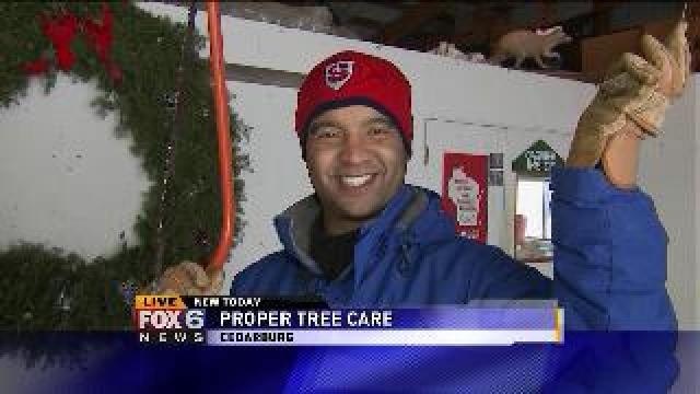 Justin discovers proper tree care