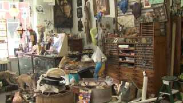 Take a closer look at Toni's Hoarder's World