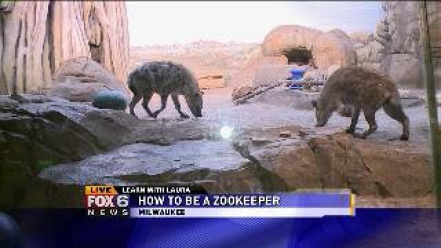 Laura learns about zoo keeping at Milwaukee County Zoo
