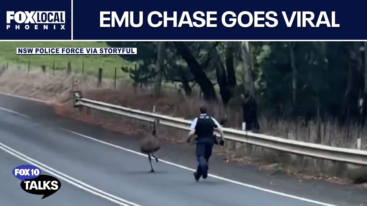 Emu chase, Lindsay Clancy trial | FOX 10 Talks
