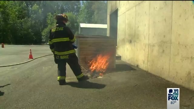 Bellevue fire concerns