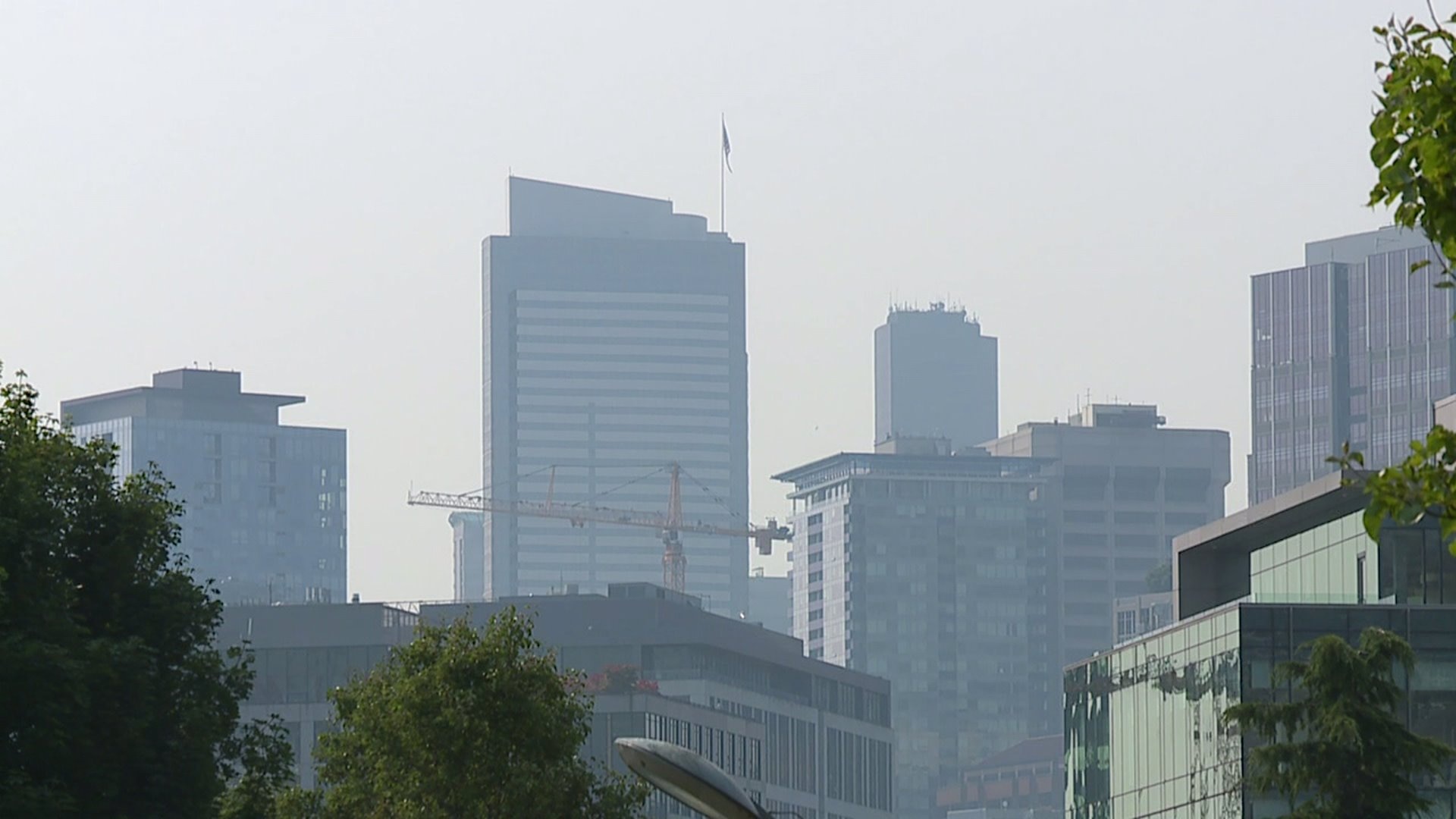 Air quality and fires