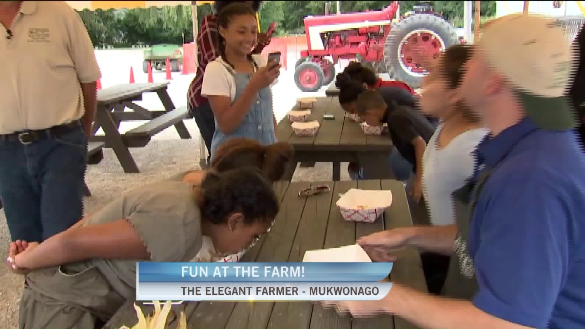 Fun at the farm