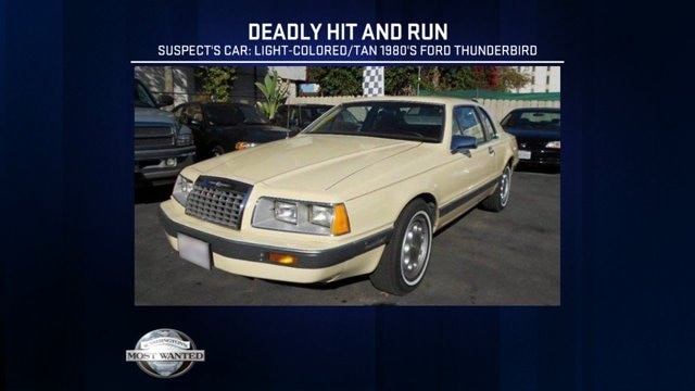 Tacoma police still looking for driver in fatal 2008 hit-and-run