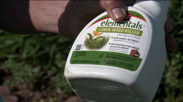 Studio A gets some planting and lawn care tips from Melinda Myers