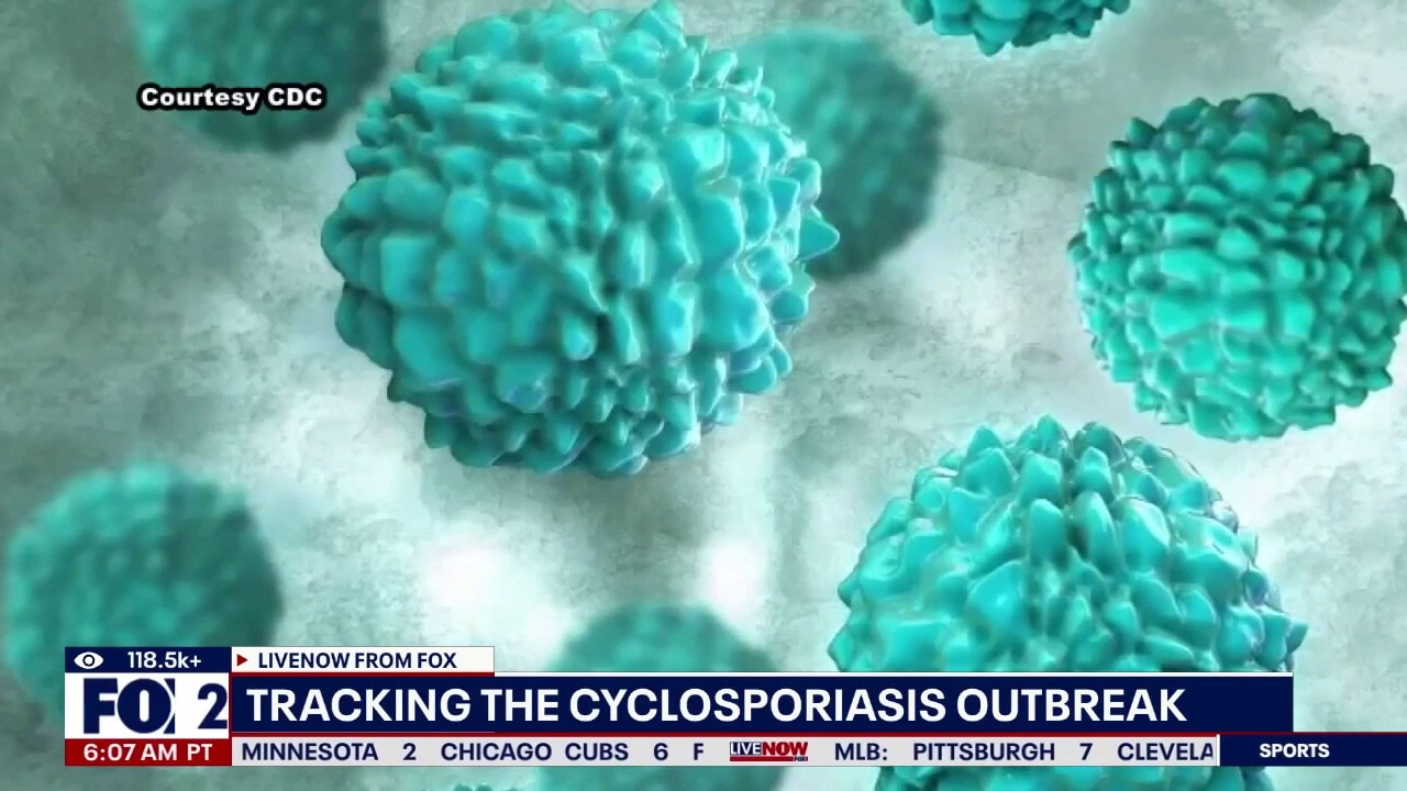 Cyclosporiasis outbreak explained