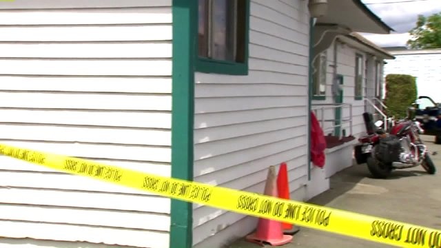 Toddler gets hold of gun, shoots himself