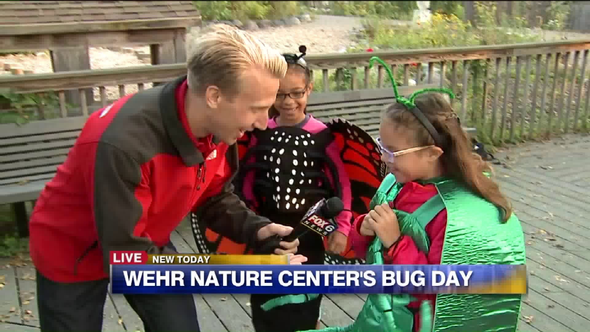 Wehr Nature Center`s Bug Day