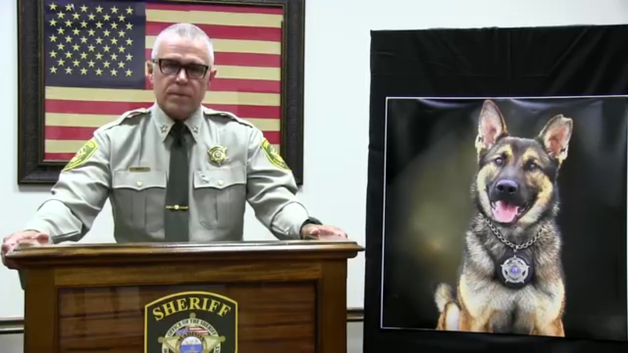Tennessee K-9 dies of heatstroke