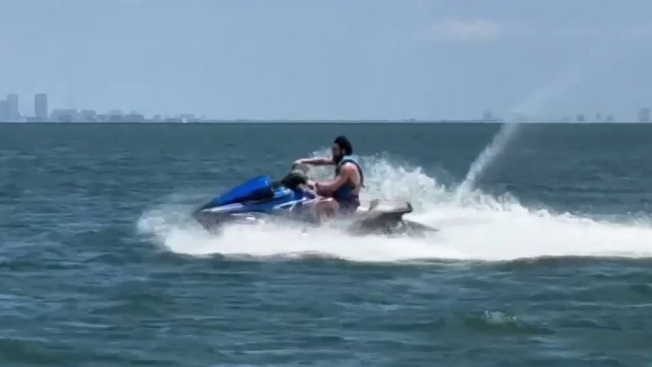 Watercraft Rentals in Clearwater