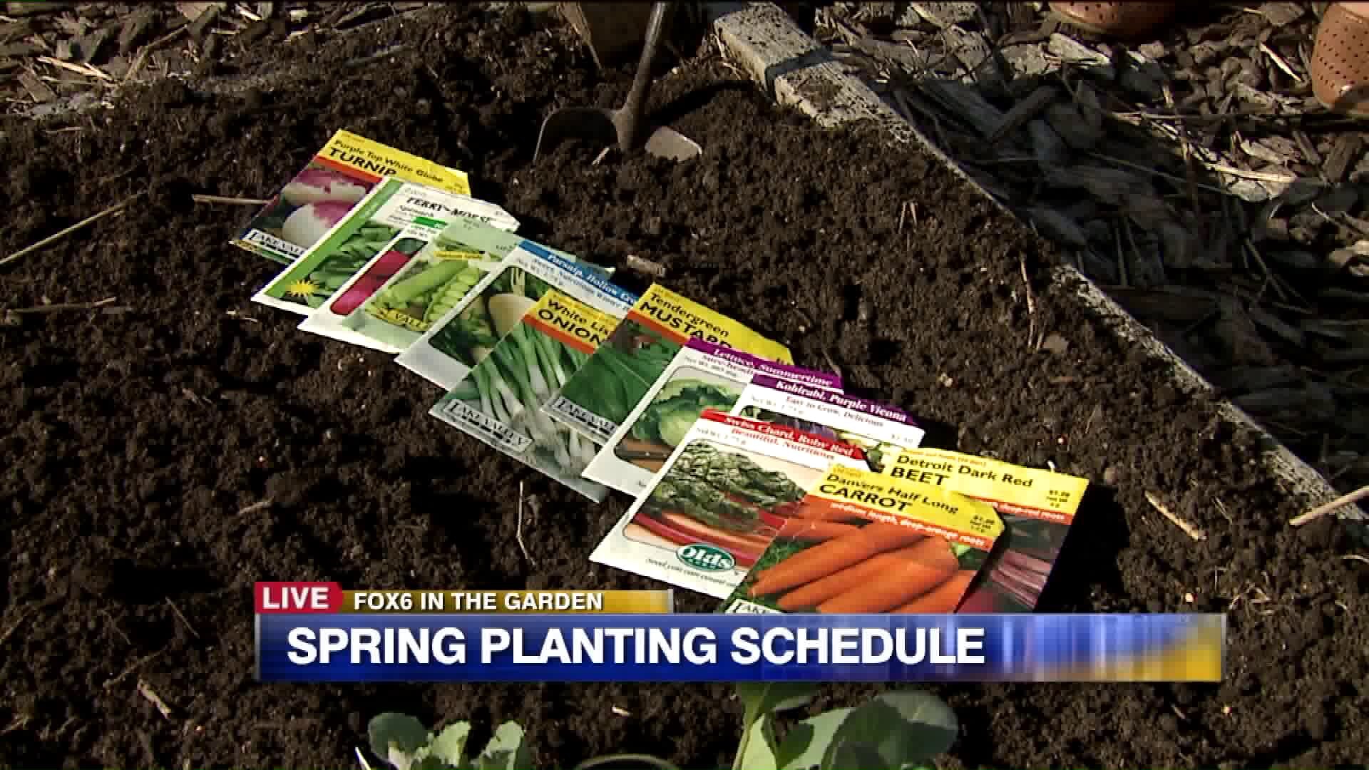 Plan the what, where and when of planting a dozen different vegetable crops