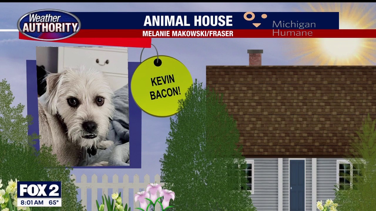 Welcome Kevin Bacon, Oliver, Eleanor