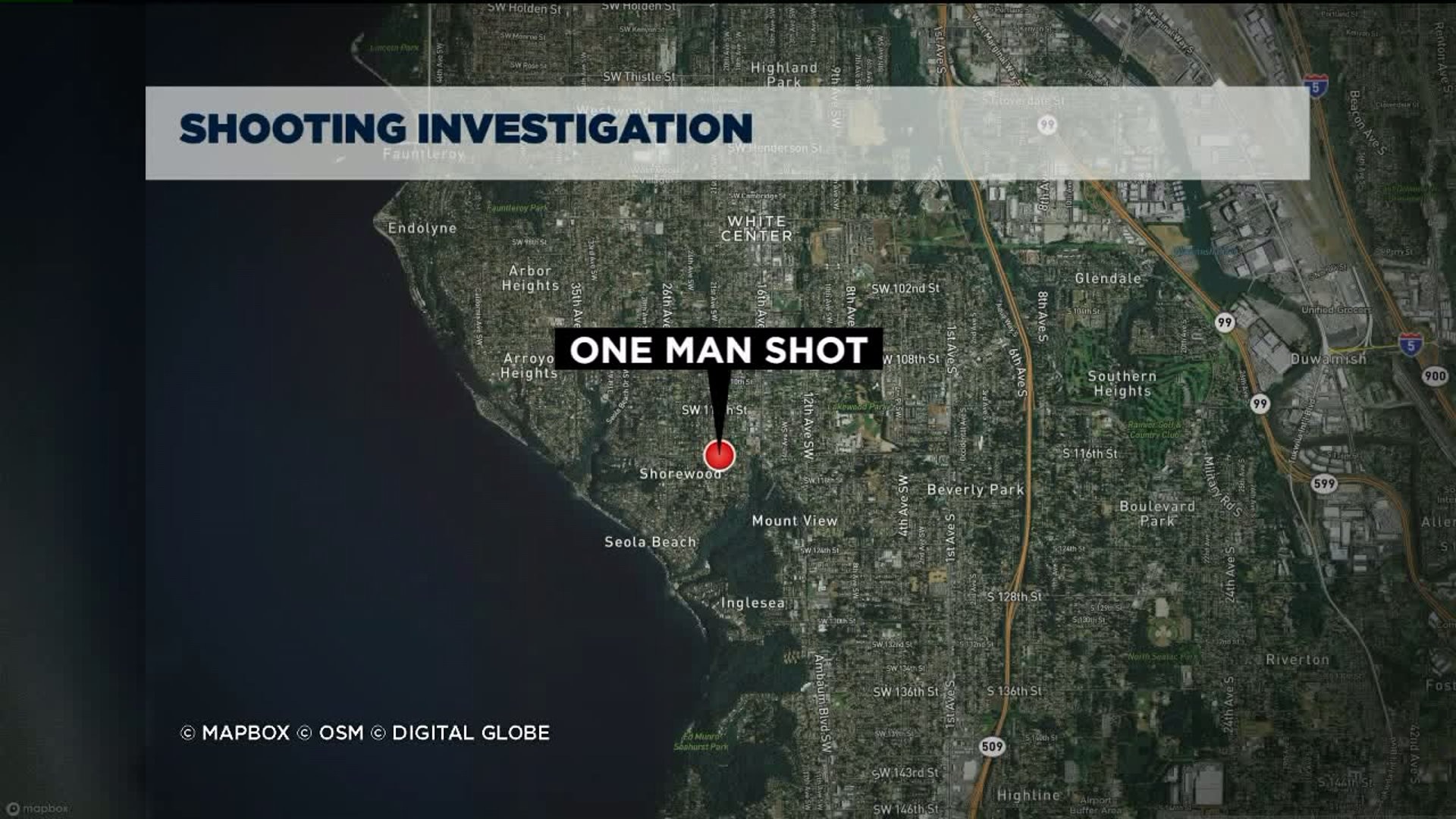 One shot in White Center