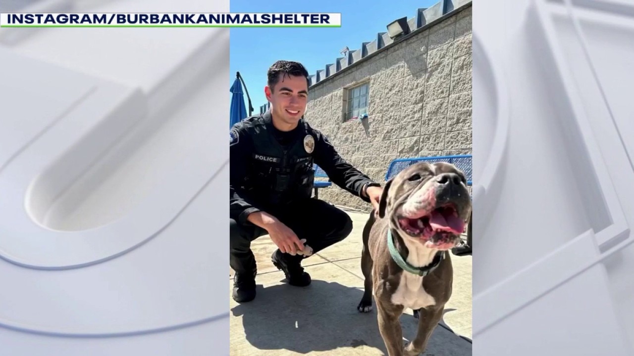 Viral Burbank cop helps shelter dogs find homes
