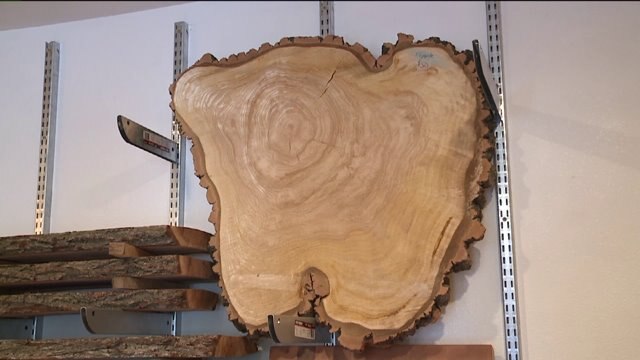 Chip checks out variety of items made from dead, dying trees