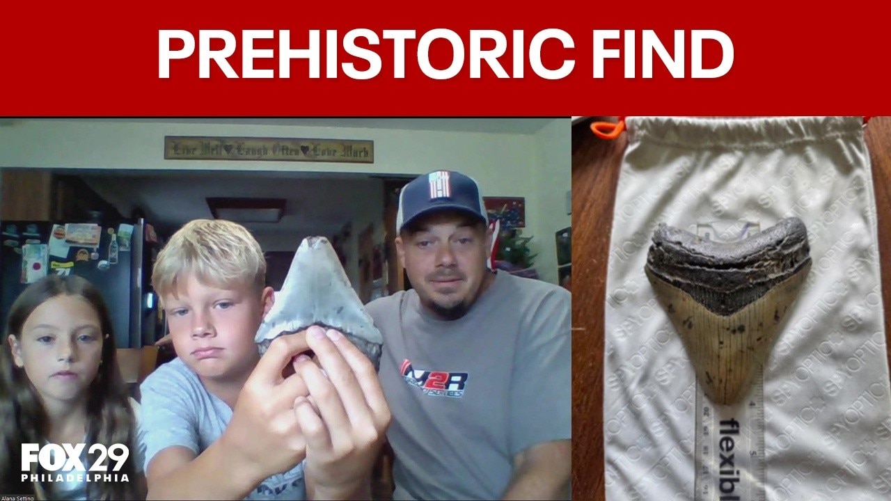 Pennsylvania family makes prehistoric discovery while searching for seashells on the Jersey Shore