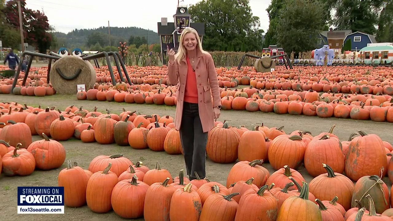 Food, drinks and fun at Spooner Farms in Puyallup