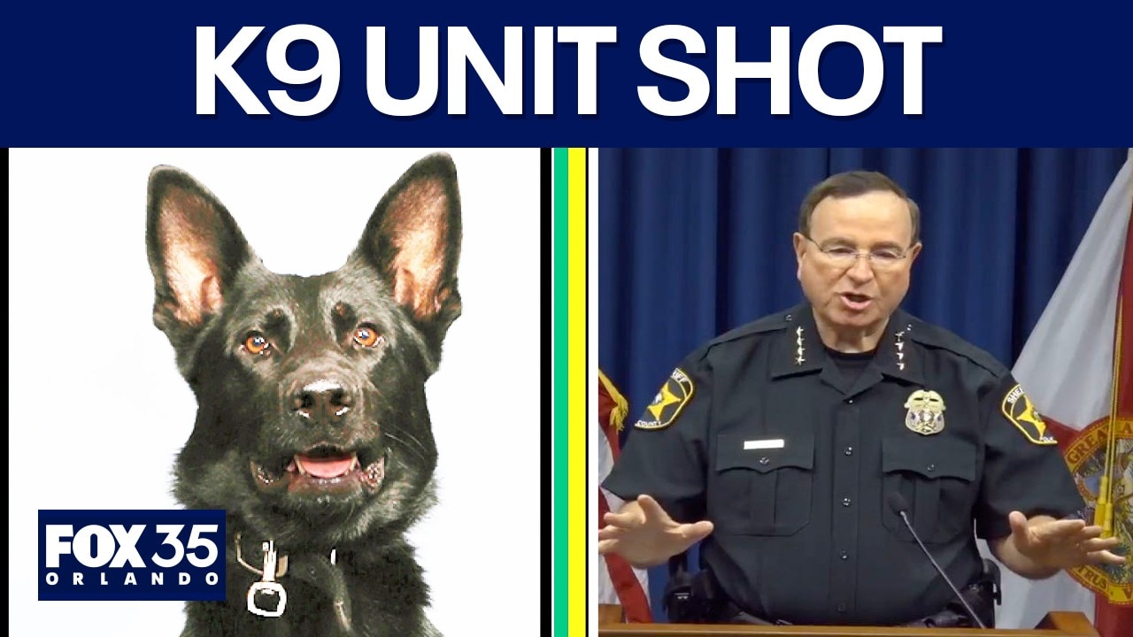 Fmr. investigator reacts to Polk Co. K9 unit shot during Florida arrest