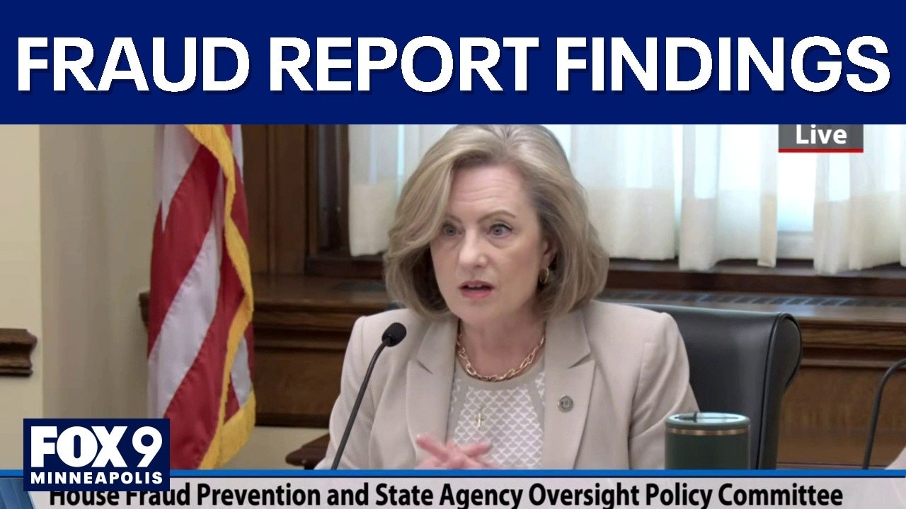 Fraud and abuse report in Minnesota overview