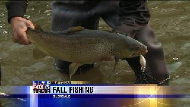 Laura catches a fish on the Milwaukee River
