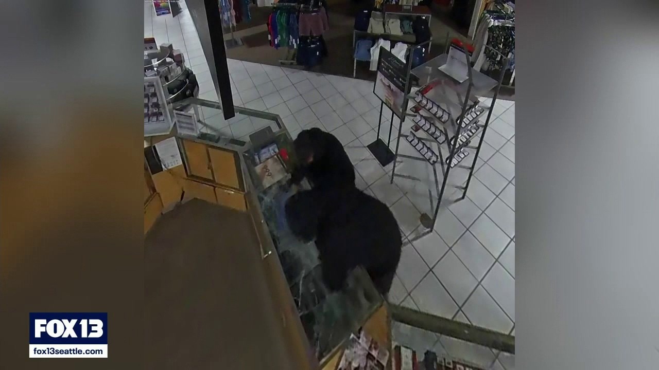 DNA evidence leads to arrest in Marysville jewelry heist