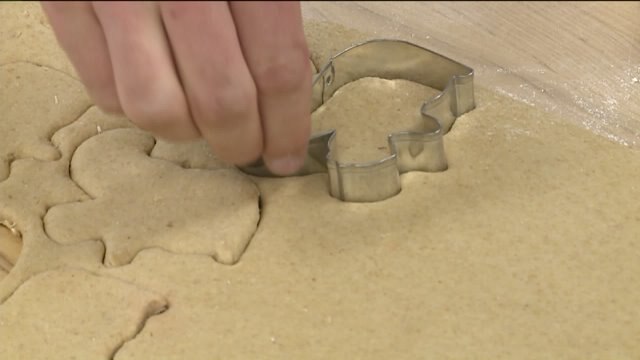 Chip learns all about Petlicious Dog Bakery; helps make treats