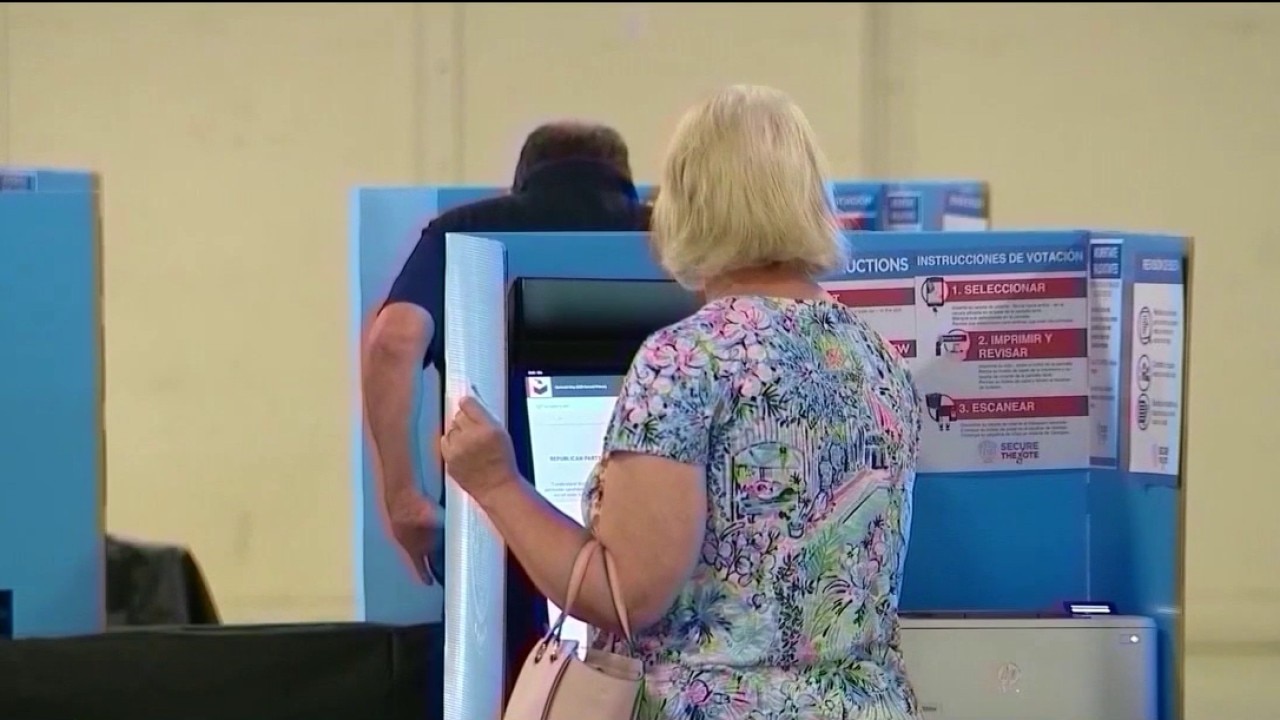 Georgia party leaders rush to register voters