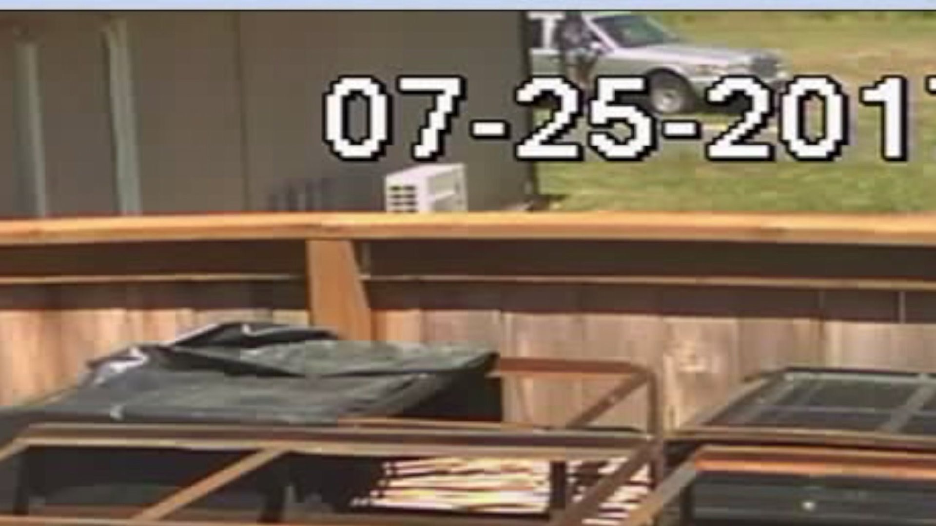 WANTED: Tourist-targeting park prowler