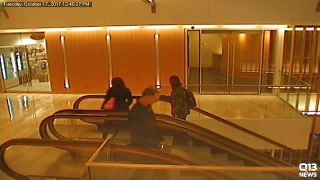 Surveillance video: Upskirting suspect