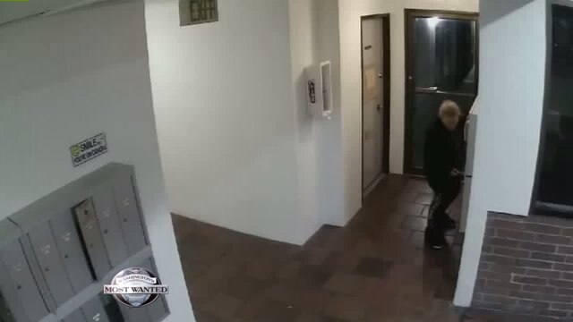 WANTED: Massive mailbox thief