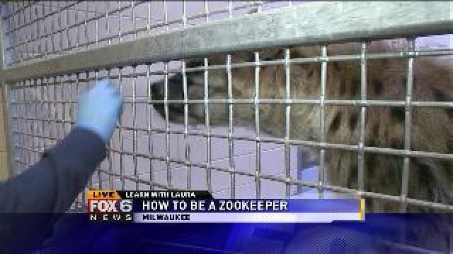 Laura learns how to train the animals at the zoo