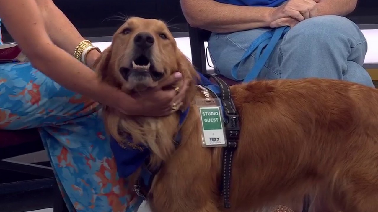 Ranger at Gold Ribbon Rescue